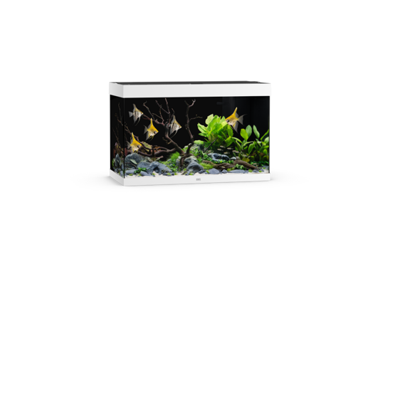 Rio 290 LED weiß