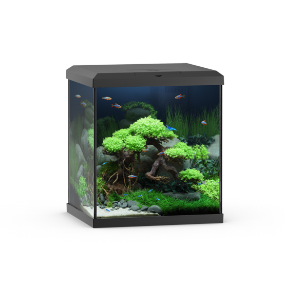 Vio Cube 54 schwarz/black