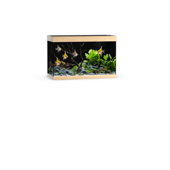 Rio 290 LED helles Holz
