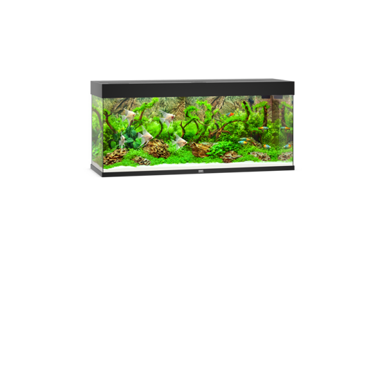 Rio 240 LED schwarz