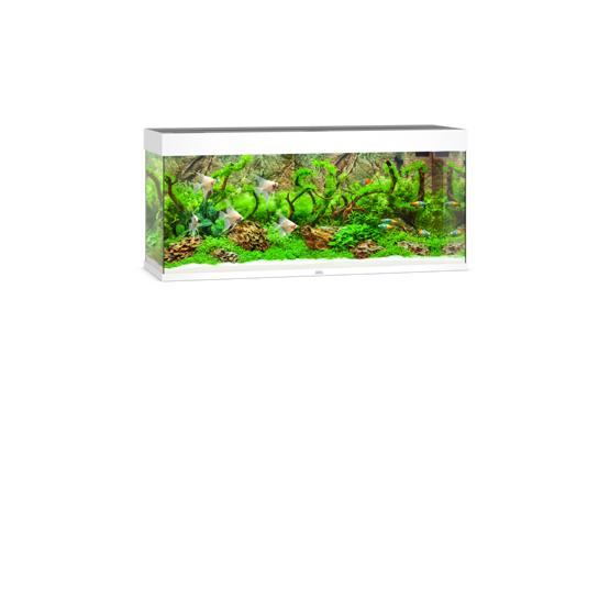 Rio 240 LED weiß