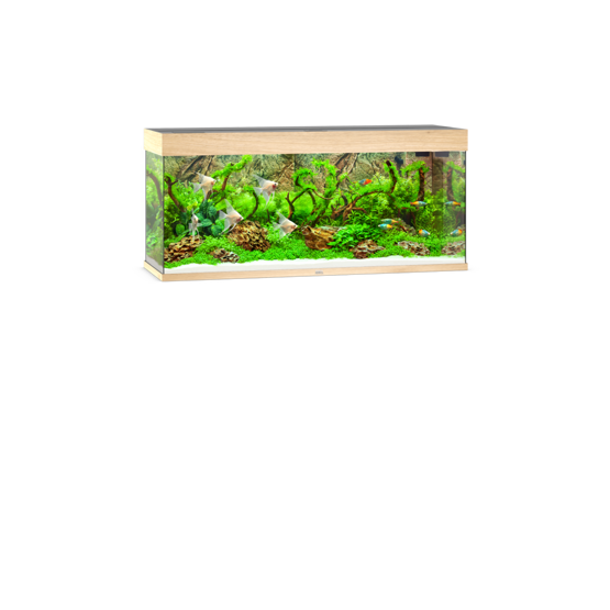 Rio 240 LED helles Holz
