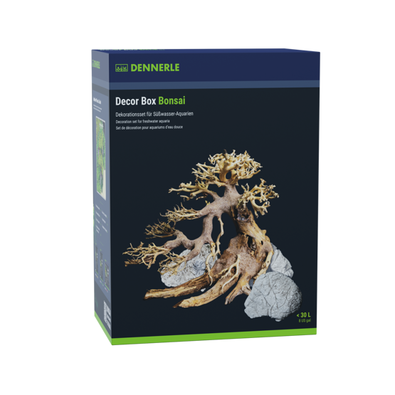 Decor Bonsai Box
