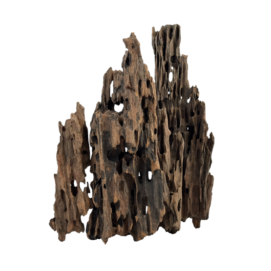 Dragonscale Wood M