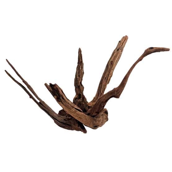Longhorn Wood M