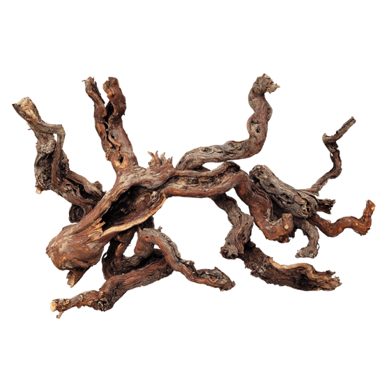 Centurion Wood M