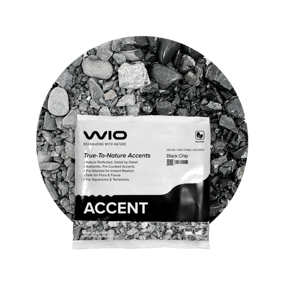 Black Chip Accent 750 g