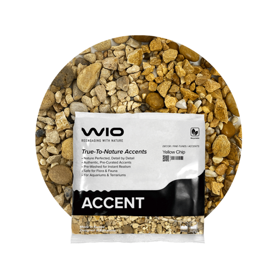 Yellow Chip Accent 750 g