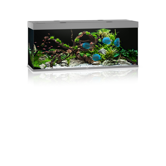 Rio 450 LED grau