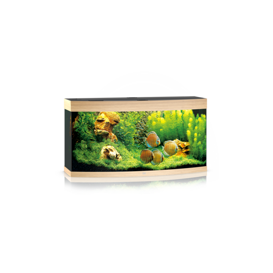 Vision 260 LED helles Holz