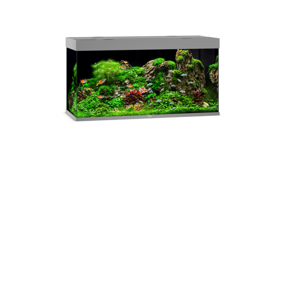 Rio 350 LED grau