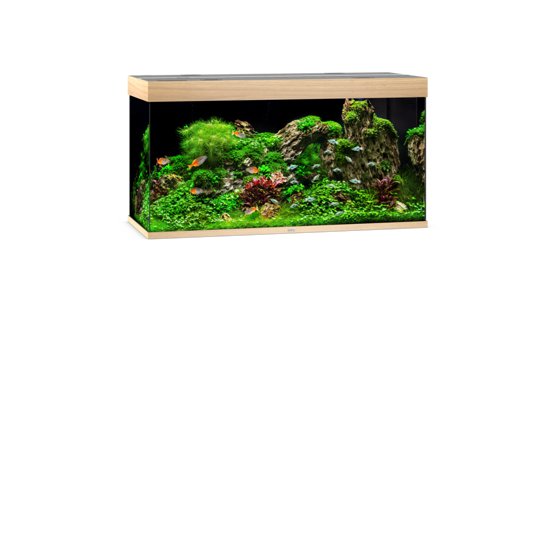 Rio 350 LED helles Holz