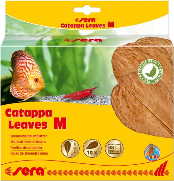 sera Catappa Leaves M 16 - 20 cm (10 St)