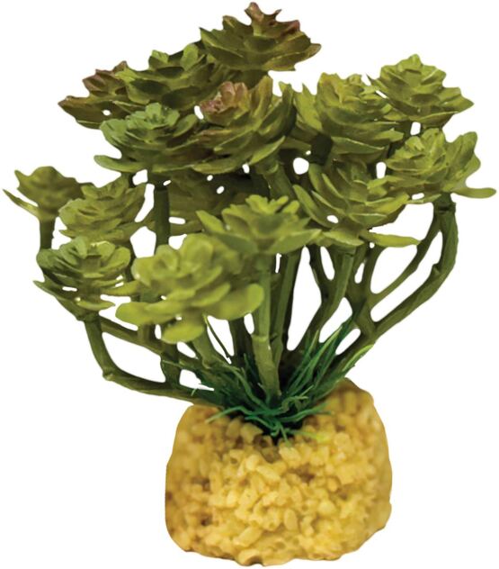 REPTO PLANT CACTUS TREE