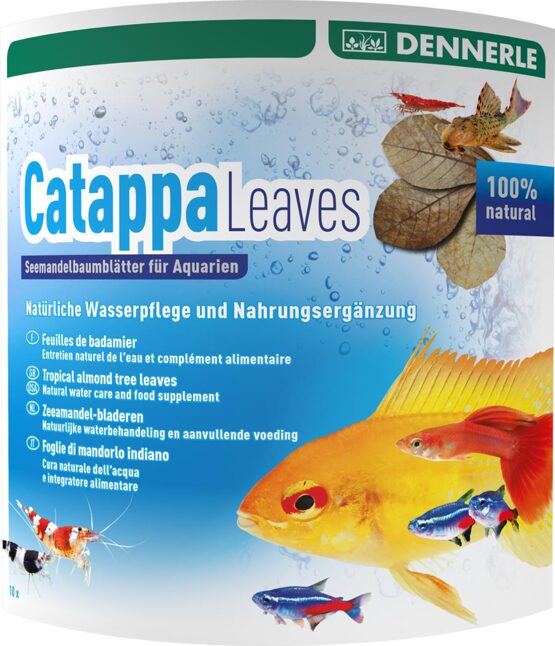 Catappa Leaves