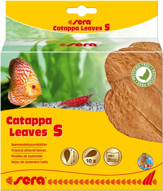 sera Catappa Leaves S 10 - 15 cm (10 St)