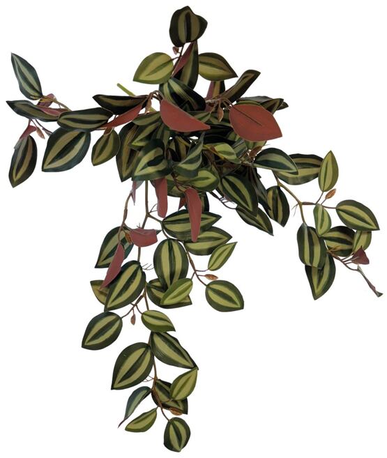 REPTO PLANT HANGING RED BACK 46CM