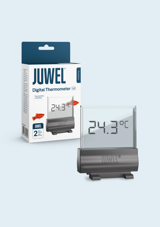 Digital-Thermometer 4.0