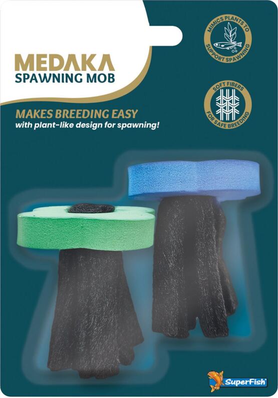 MEDAKA SPAWNING MOB