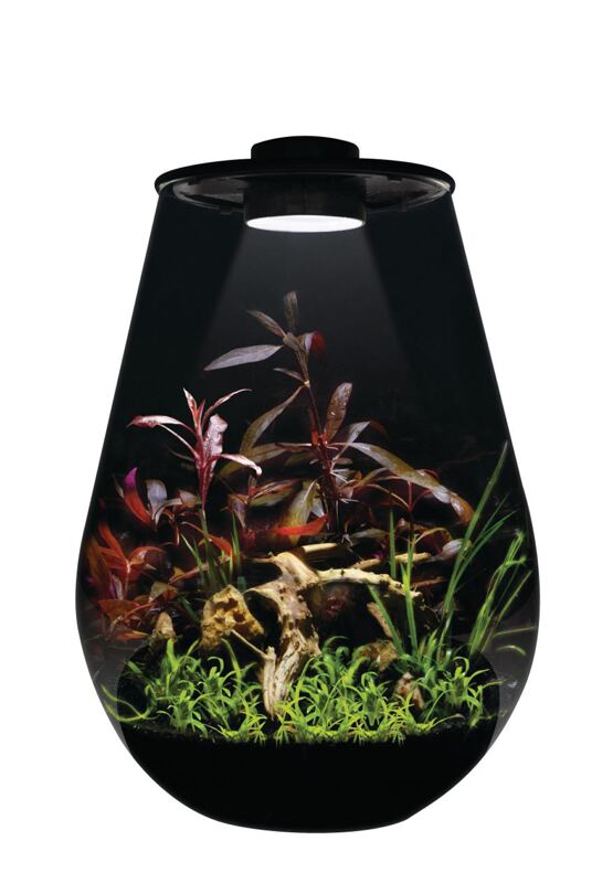 BIOART DROP 345 SCHWARZ
