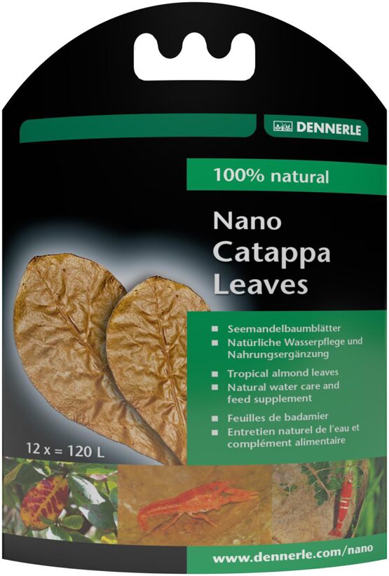 Nano Catappa Leaves