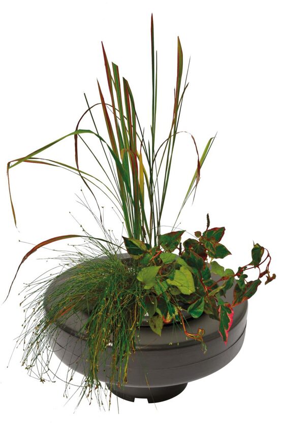 SCHWIMMENDER PFLANZENKORB Ø 30CM