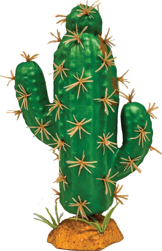 REPTO PLANT CACTUS TRIDENT XL
