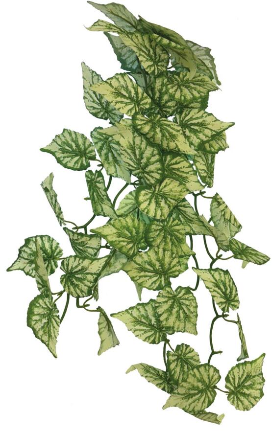 REPTO PLANT HANGING HEDRA 65CM