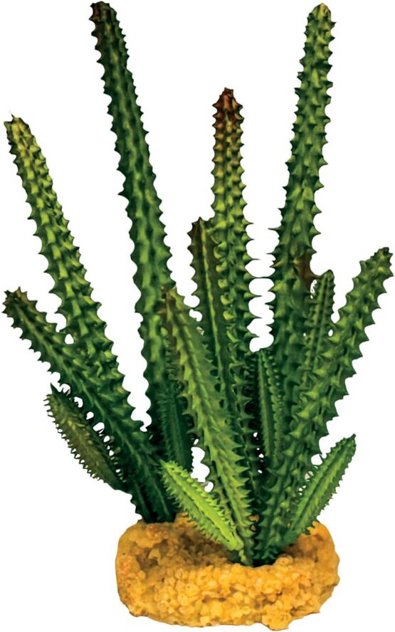 REPTO PLANT CACTUS NEEDLE GREEN