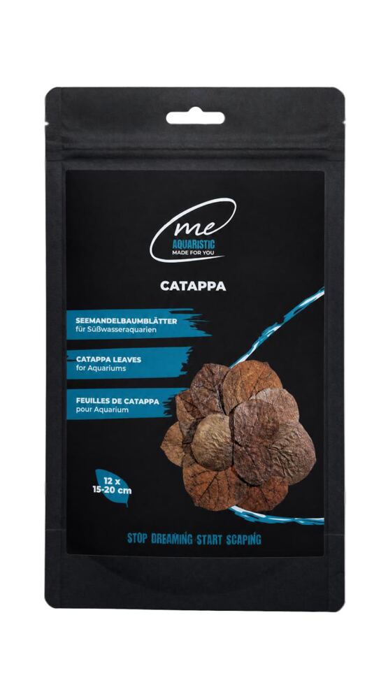 Me Catappa, 12x 15-20 cm Seemandelbaumblätter